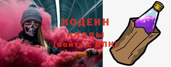 спиды Арсеньев
