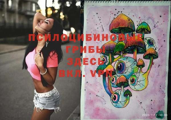 спиды Арсеньев