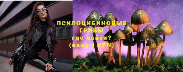 ALPHA-PVP Аркадак